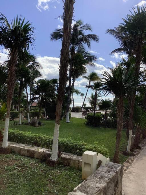 Oceanview & Beach Access 3805 Cancun Exterior photo