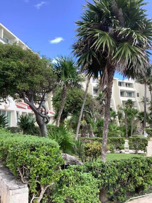 Oceanview & Beach Access 3805 Cancun Exterior photo
